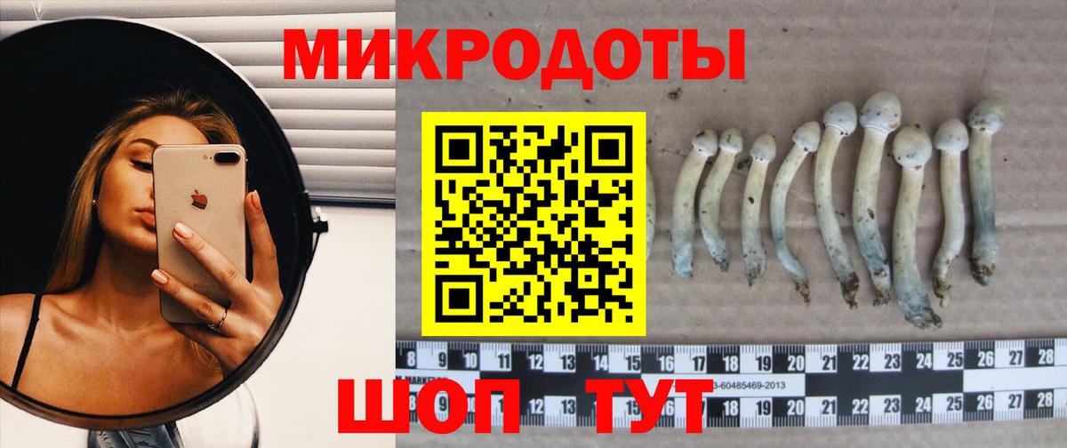 Городец  Псилоцибиновые грибы Psilocybe  Псилоцибиновые грибы мицелий  Вход с VPN 